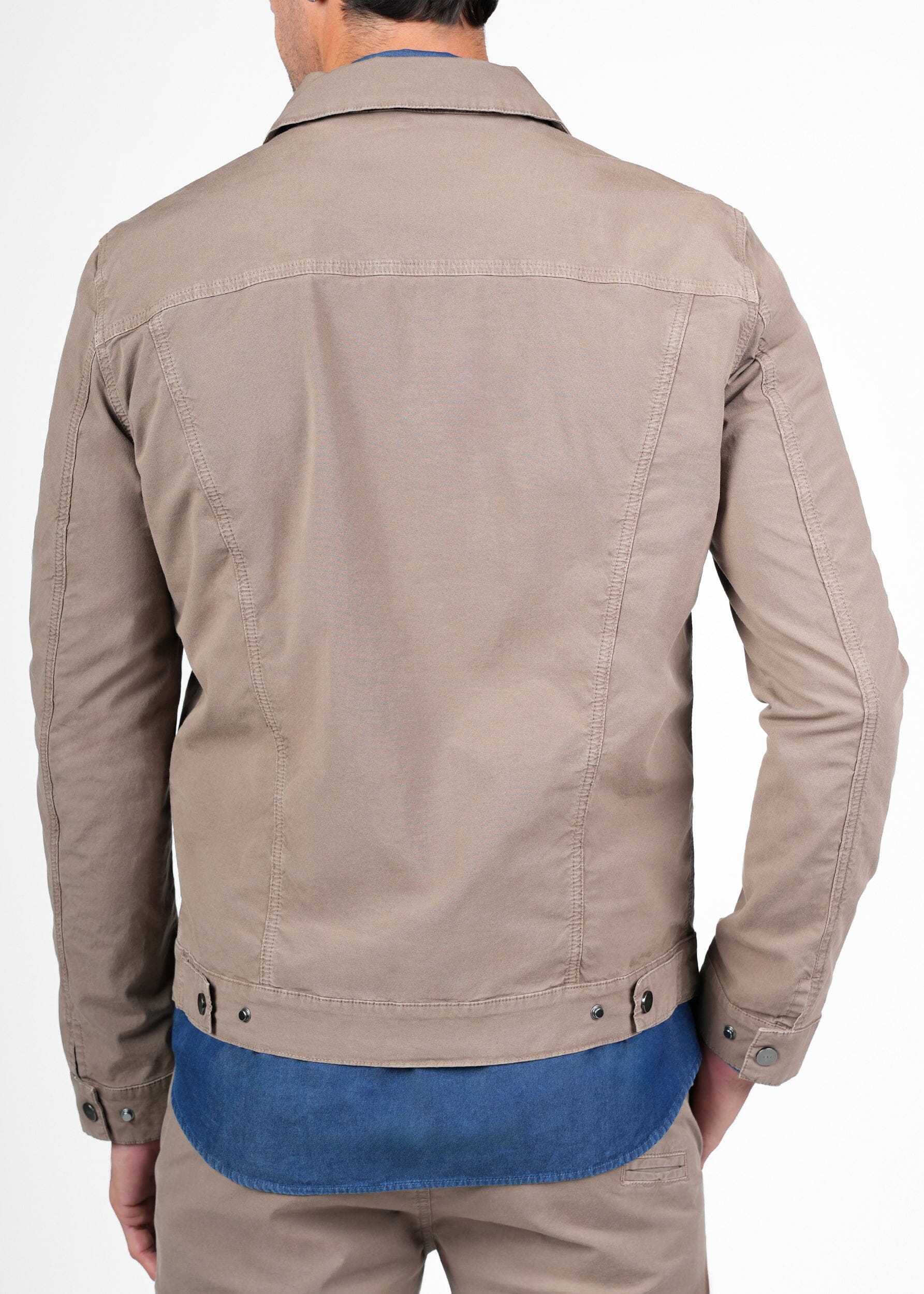 Desert Brown