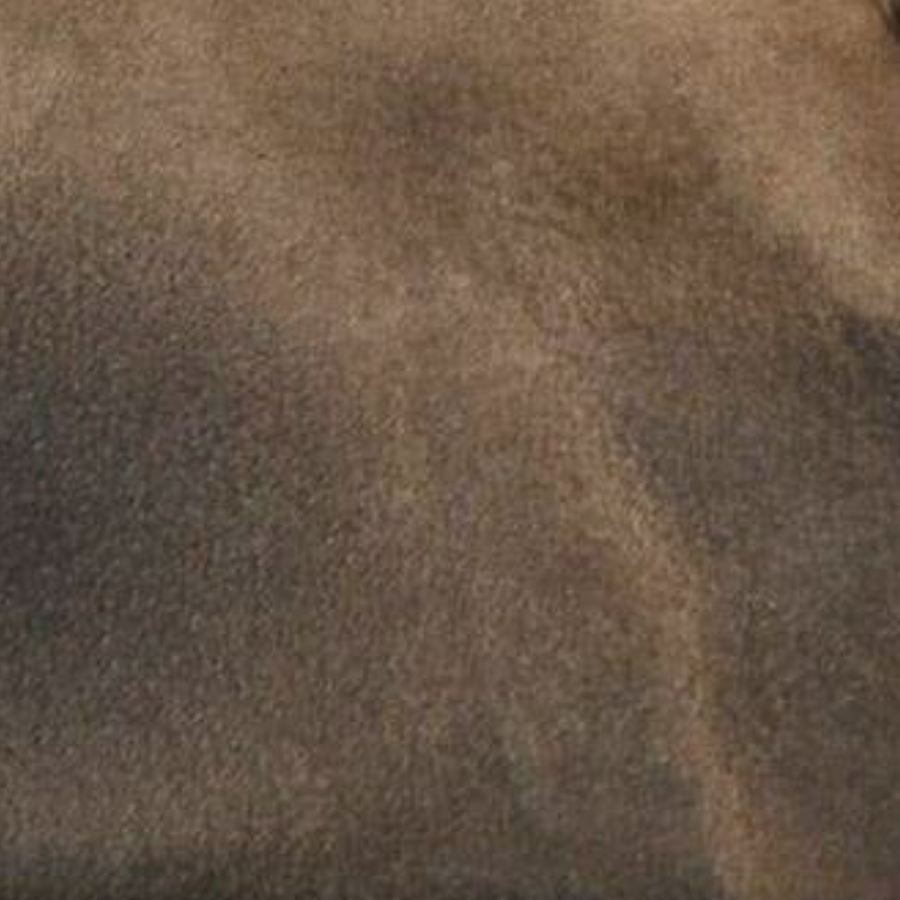 Culatta Leather